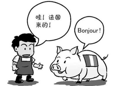 2015年法语翻译专业资格(水平)考试时间