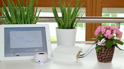 智能产品Phytl Sign:一款翻译植物语的产品
