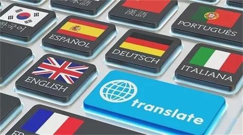 图 沈阳本地翻译公司 驾照护照翻译盖章 政府认证 包邮 沈阳翻译服务