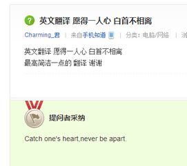 谁帮我翻译成英文