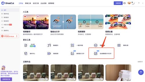 智能识别与图像擦除 支持百种语言与API接口的综合解决方案